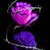 Charlie Larioz's profile image