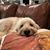 Nicole Riccio Ramirez's profile image