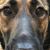 Steven Reiter's profile image