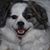 Sue Connelly Clement's profile image