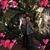 Mary Beth Cantell's profile image