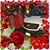 Mi Bella Genio's profile image