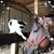 Wendy Boynton's profile image