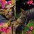 Jenny Faye Grace's profile image