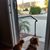 Karen Shutt's profile image