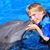 Dylan Baudo's profile image