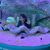 Priscilla Kizziar's profile image
