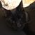 Heather Hutto's profile image