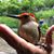 Gail Cox's profile image
