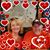 Erin Cromer Keeney's profile image