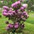 Joanne Bain Poucher's profile image