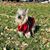 Heather June Hoskins Blanton's profile image