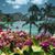 Pam Johnson Wattigney's profile image