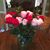 Glenda Godwin Hammonds's profile image