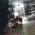 Tricia O'Dell Petersen's profile image