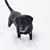 Kristi Lindblad-Bengtson's profile image