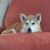 Lucy Piccoletti's profile image