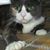 Jane C. Michaels's profile image