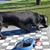 Hilario Barrera Torres's profile image