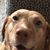 Patrick M. Parisou's profile image