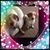 Amy Foxx's profile image