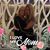 Lara Schielke Coyle's profile image