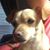 Gina Toad McClintock Raymond's profile image