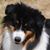 Alisha Curtis's profile image