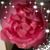 Doris Bain's profile image