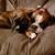 Katie Lindeman's profile image