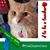 Kathryn Kelly Lundin's profile image