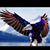 Roel Zamora's profile image