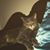 Blaze Lee Harner's profile image