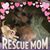Elaine Goodbrod's profile image