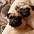 Molly Stroh's profile image