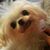 Judy Albright Harness's profile image