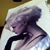 Tina Marie Scaccio's profile image