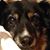 Beth Johnson's profile image