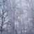 Jennifer Addington's profile image