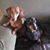 Jackie Whisenant's profile image