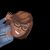Ursula Williams's profile image