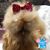 Kerry Bishop Chastain's profile image