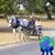 Ronald Drumheller's profile image