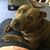 Nicole Parson Monahan's profile image