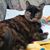 Lisa Sholar's profile image