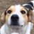 Rosaide Gomez Arguelles's profile image