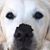 Debra L Murray's profile image