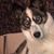 Debbie Machen's profile image