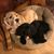 Becky Specht's profile image