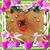 Nellie Coker Gatlin's profile image